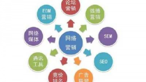 網(wǎng)絡推廣服務與網(wǎng)絡技術(shù)服務 賦能企業(yè)數(shù)字時代發(fā)展的雙翼
