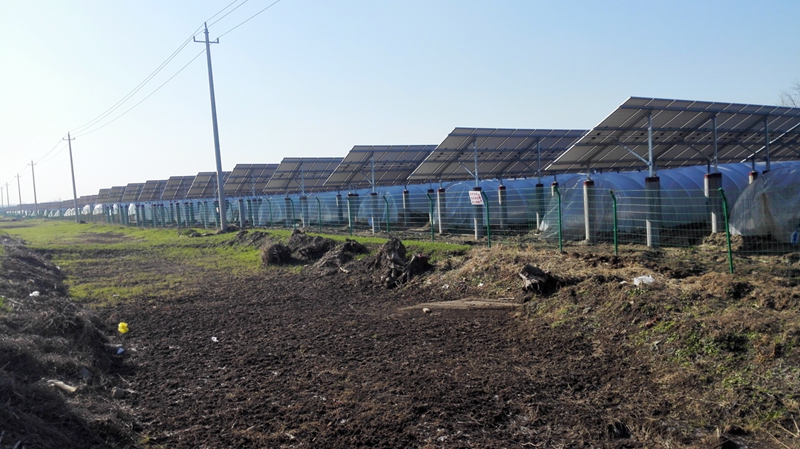 灌南宏耀環(huán)保17MW農(nóng)光互補光伏發(fā)電項目位于縣經(jīng)濟(jì)開發(fā)區(qū)_江蘇文明網(wǎng)