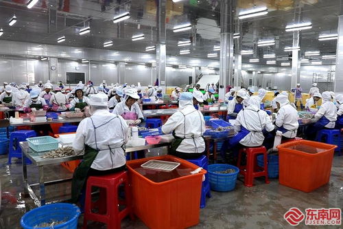 民營(yíng)經(jīng)濟(jì)高質(zhì)量發(fā)展 詔安恒暉水產(chǎn) 專注水產(chǎn)定制化加工 年產(chǎn)值超10億元